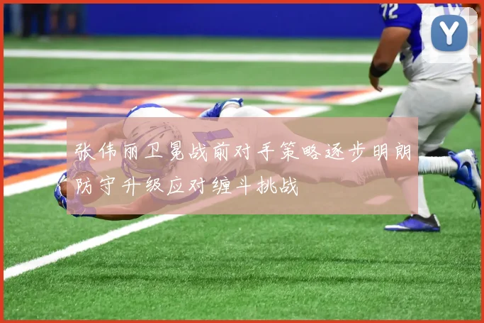 张伟丽卫冕战前对手策略逐步明朗防守升级应对缠斗挑战