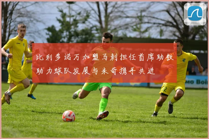 比利多诺万加盟马刺担任首席助教助力球队发展与米奇携手共进