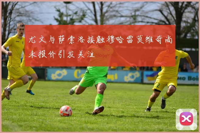 尤文与萨索洛接触穆哈雷莫维奇尚未报价引发关注